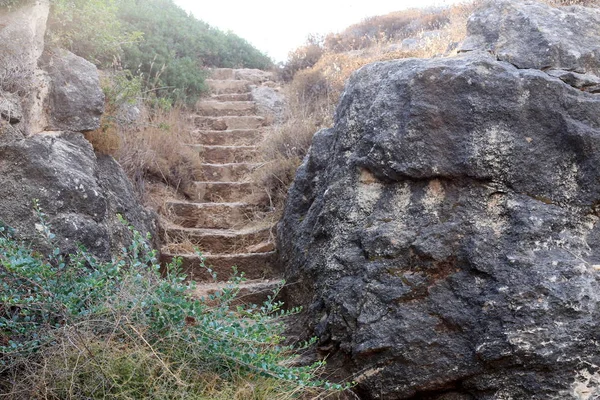 Eine Treppe Befindet Sich Einem Stadtpark Norden Des Staates Israel — Stockfoto