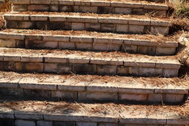 İsrail devletinin kuzeyindeki bir şehir parkında bir merdiven bulunmaktadır. 