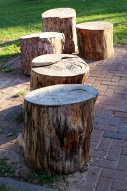 Doku - materyal ve ürünü oluşturan elementlerin tercih edilen yönelimi 