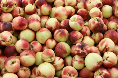 İsrail 'in kuzeyindeki Acre şehrindeki bir pazarda taze meyve ve sebze satılıyor. 