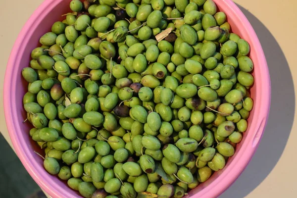 Frutas Legumes Frescos São Vendidos Bazar Cidade Acre Norte Estado — Fotografia de Stock