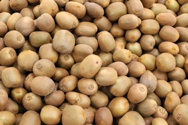 İsrail 'in kuzeyindeki Acre şehrindeki bir pazarda taze meyve ve sebze satılıyor. 