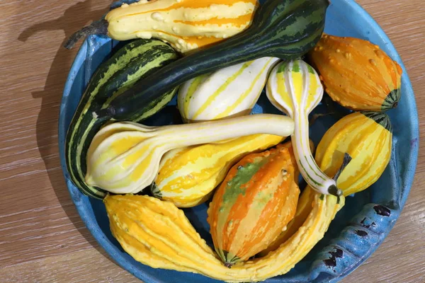Fruits Légumes Frais Sont Vendus Dans Bazar Dans Ville Acre — Photo
