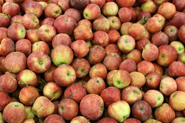 Świeże Owoce Warzywa Sprzedawane Bazarze Mieście Acre Północy Stanu Izrael — Zdjęcie stockowe