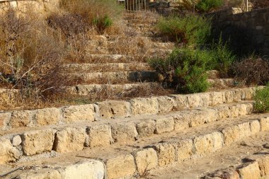 Ahziv Parkı - İsrail 'in kuzeyindeki Akdeniz kıyılarındaki Haçlı döneminin eski bir limanının kalıntıları 