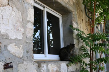 Pencere - duvardaki bir açıklık, ışığın odaya girmesini ve havalandırmayı sağlıyor.. 