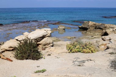 İsrail devletinin kuzeyinde Akdeniz'in ıssız kıyıları 