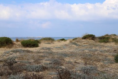 İsrail devletinin kuzeyinde Akdeniz'in ıssız kıyıları 