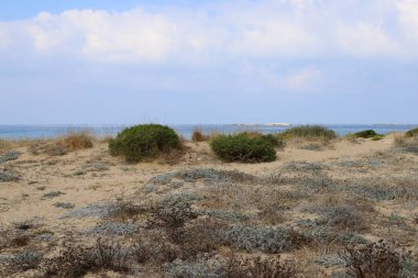 İsrail devletinin kuzeyinde Akdeniz'in ıssız kıyıları 