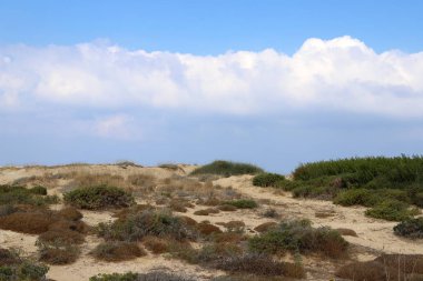 İsrail devletinin kuzeyinde Akdeniz'in ıssız kıyıları 