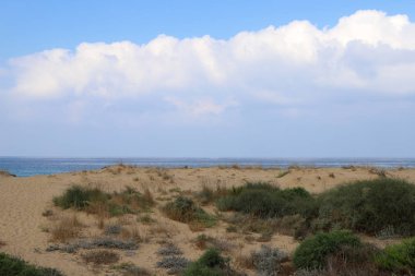 İsrail devletinin kuzeyinde Akdeniz'in ıssız kıyıları 