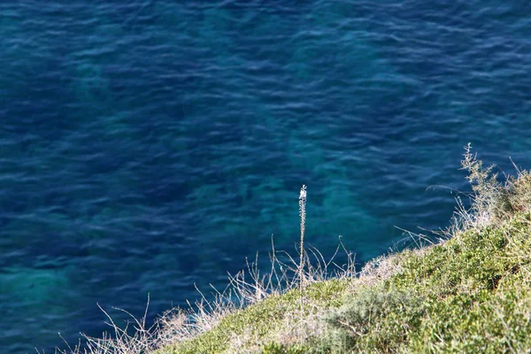 Den Övergivna Kusten Medelhavet Norra Delen Staten Israel — Stockfoto