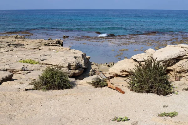 Verlaten Kust Van Middellandse Zee Het Noorden Van Staat Israël — Stockfoto