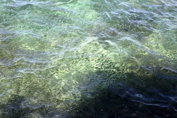 Costa Desierta Del Mar Mediterráneo Norte Del Estado Israel — Foto de Stock