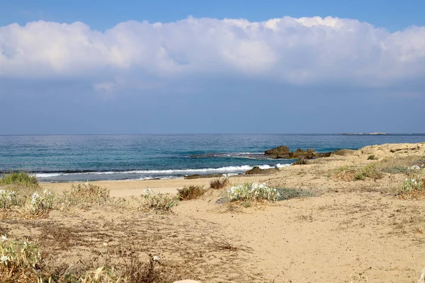 Costa Deserta Mar Mediterrâneo Norte Estado Israel — Fotografia de Stock