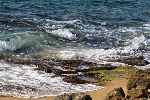 以色列国北部荒凉的地中海海岸 — 图库照片