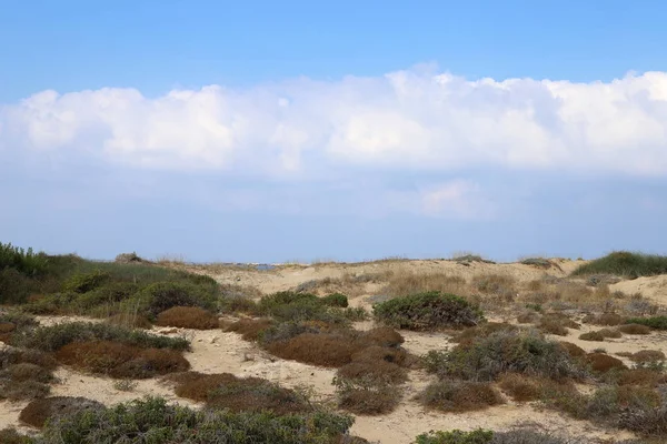Costa Deserta Del Mar Mediterraneo Nel Nord Dello Stato Israele — Foto Stock