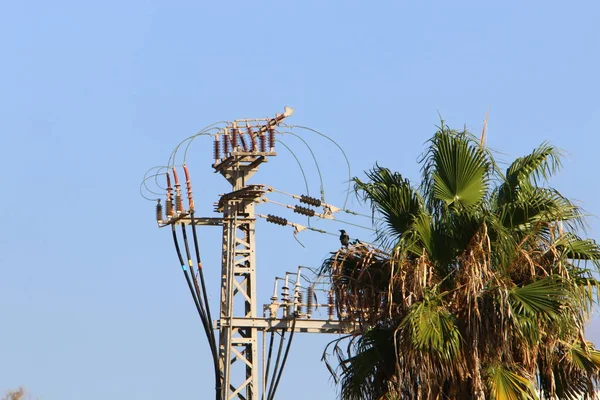 Hohe Metallstütze Der Drähte Hängen Durch Die Elektrischer Strom Fließt — Stockfoto