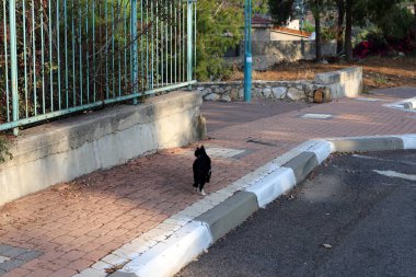 İsrail 'in büyük bir şehrinde şehir kaldırımı 