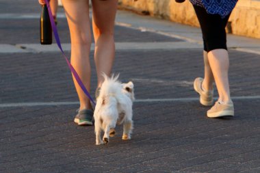 İsrail 'in büyük bir şehrinde şehir kaldırımı 