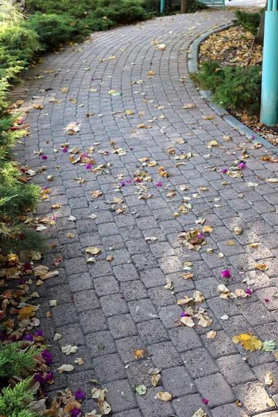 Urban Sidewalk Big City Israel — Stock Photo, Image