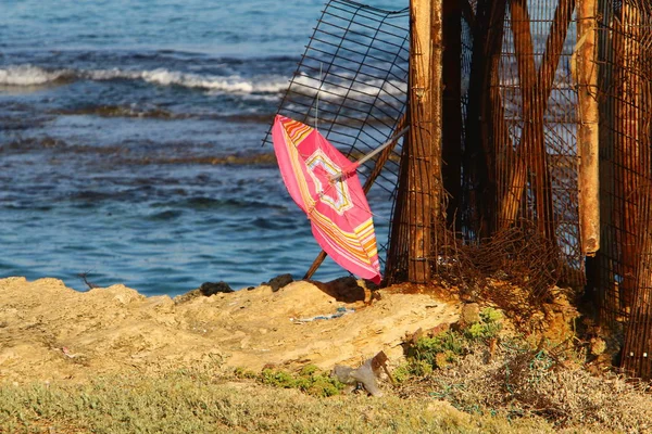 Parapluie Dans Parc Bord Mer Méditerranée Nord Israël — Photo