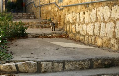 İsrail 'in büyük bir şehrinde merdivenler ve basamaklar 