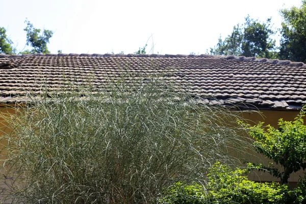 Roof Upper Structure Building Which Serves Protect Atmospheric Precipitation — Stock Photo, Image