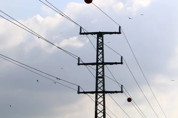 Electric Wires Pole Which Electricity Flows Birds Sit Electric Wires — Stock Photo, Image