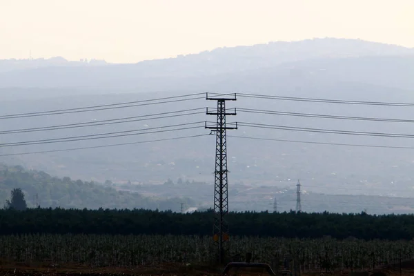 Electric wires on a pole along which electricity flows. Birds sit on electric wires