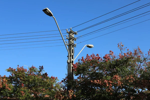 Electric wires on a pole along which electricity flows. Birds sit on electric wires