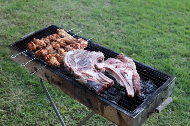 Ürünler İsrail 'de piknikte mangalda kızartılıyor. 