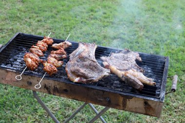 Ürünler İsrail 'de piknikte mangalda kızartılıyor. 