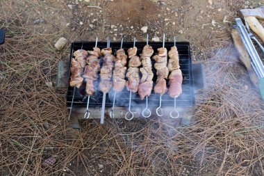 Ürünler İsrail 'de piknikte mangalda kızartılıyor. 