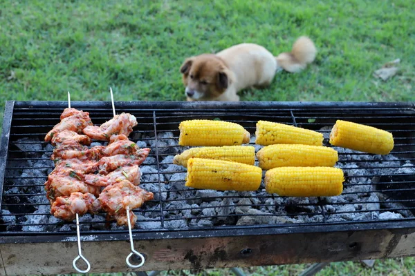 Produkte Werden Auf Einem Holzkohlegrill Bei Einem Picknick Island Gegrillt — Stockfoto