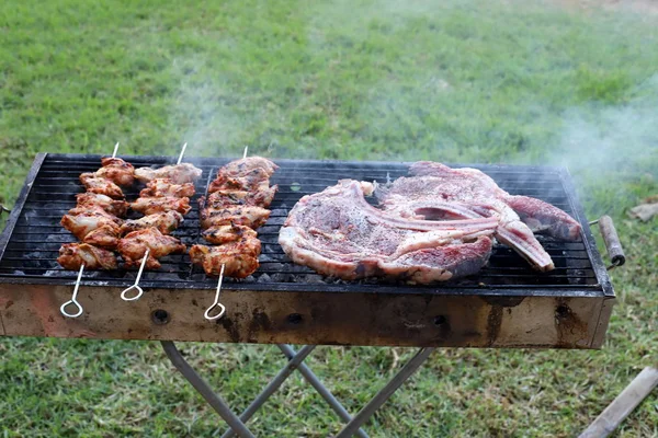 Producten Worden Gegrild Een Houtskoolgrill Een Picknick Israël — Stockfoto