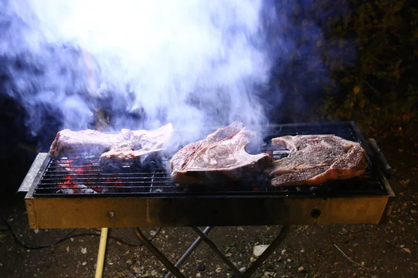 Produkter Grillas Kolgrill Picknick Israel — Stockfoto