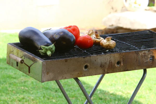 製品はイスラエルのピクニックの炭火焼きで焼かれます — ストック写真