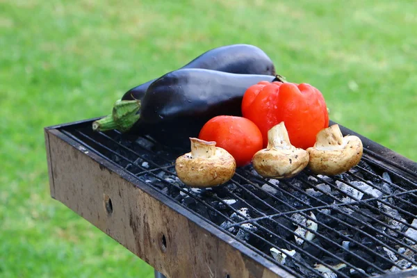 Výrobky Jsou Grilované Dřevěném Uhlí Grilu Pikniku Izraeli — Stock fotografie