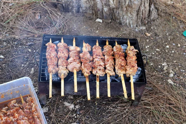 Producten Worden Gegrild Een Houtskoolgrill Een Picknick Israël — Stockfoto