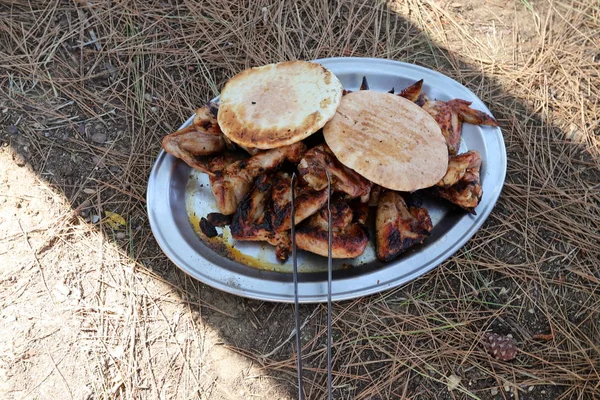 Produkte Werden Auf Einem Holzkohlegrill Bei Einem Picknick Island Gegrillt — Stockfoto