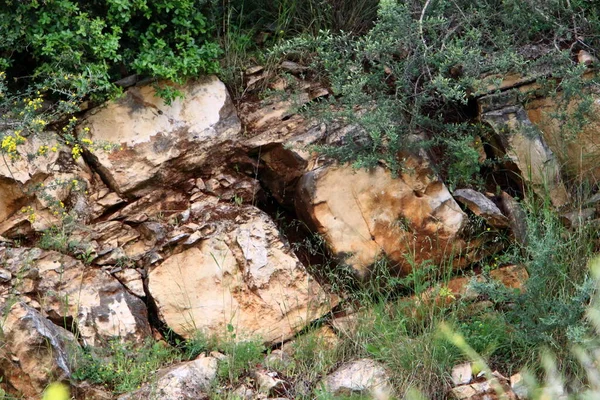 Textura Rocas Piedras Primer Plano Parque Ciudad Norte Israel —  Fotos de Stock