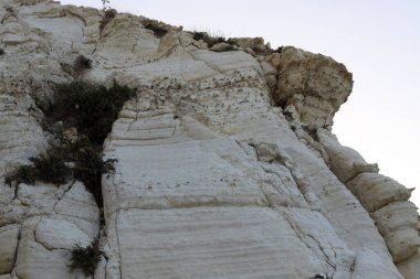 Taşların ve kayaların dokusu İsrail 'in kuzeyindeki bir şehir parkına yakın. 