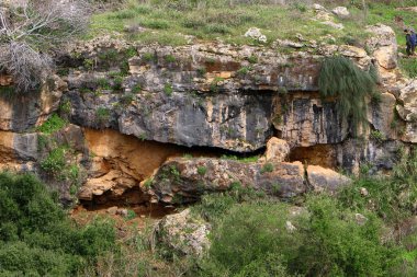 Taşların ve kayaların dokusu İsrail 'in kuzeyindeki bir şehir parkına yakın. 
