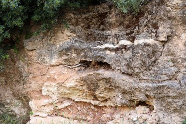 Taşların ve kayaların dokusu İsrail 'in kuzeyindeki bir şehir parkına yakın. 