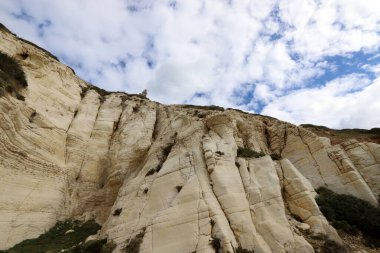 Taşların ve kayaların dokusu İsrail 'in kuzeyindeki bir şehir parkına yakın. 
