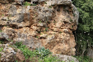 Taşların ve kayaların dokusu İsrail 'in kuzeyindeki bir şehir parkına yakın. 