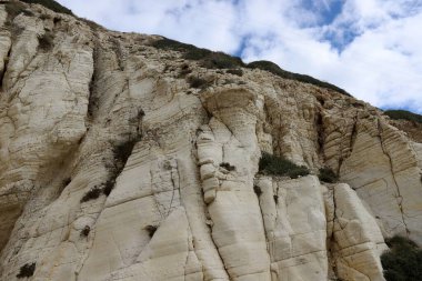 Taşların ve kayaların dokusu İsrail 'in kuzeyindeki bir şehir parkına yakın. 