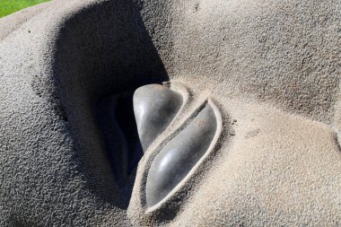 Taşların ve kayaların dokusu İsrail 'in kuzeyindeki bir şehir parkına yakın. 