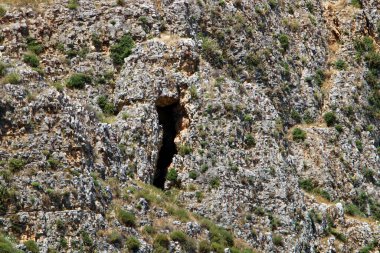 Taşların ve kayaların dokusu İsrail 'in kuzeyindeki bir şehir parkına yakın. 